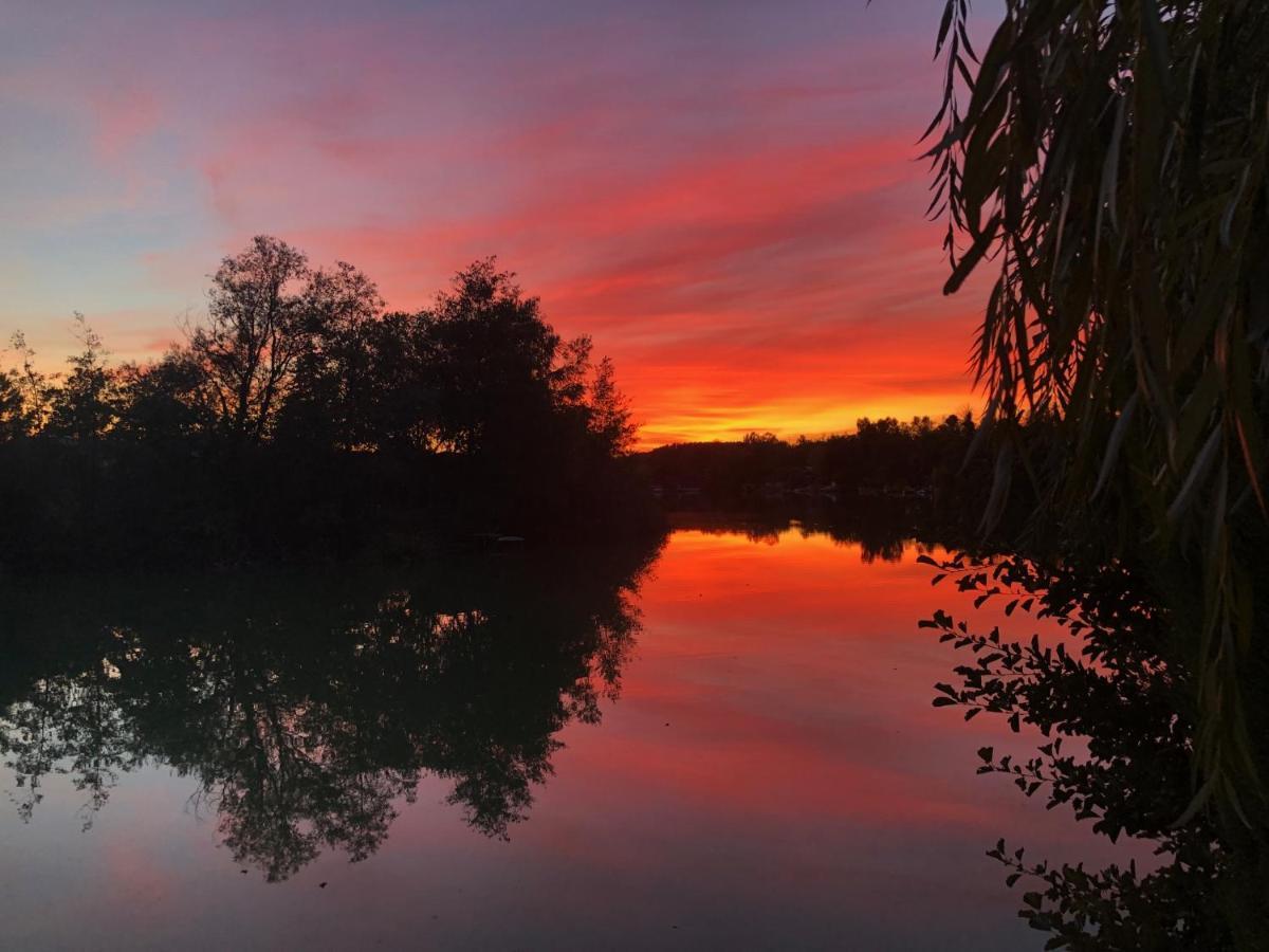 Le Chalet Du Lac - Domaine De La Goujonne Saint-Sauveur-les-Bray ภายนอก รูปภาพ